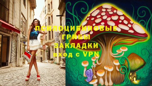 твердый Аркадак