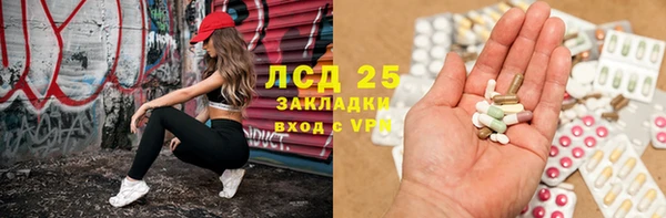 твердый Аркадак