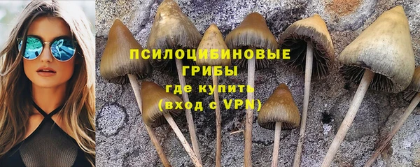 твердый Аркадак