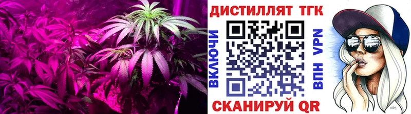 мега tor  купить  цена  Валдай  ТГК жижа 